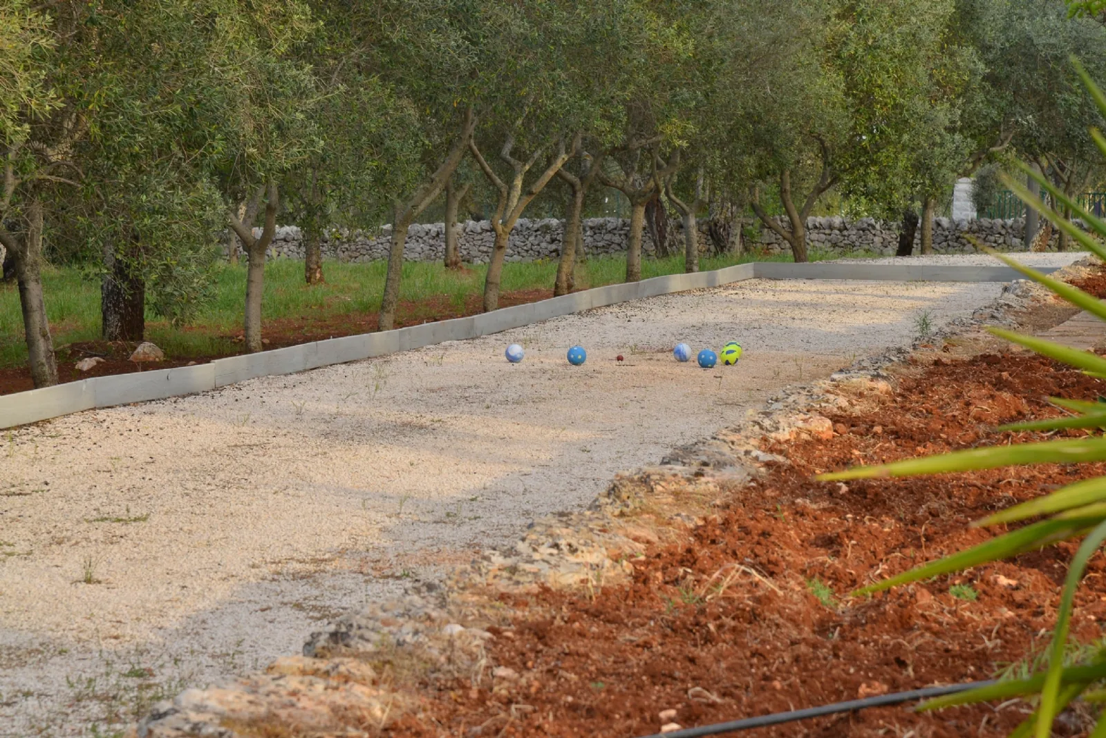 Ulivi secolari, muretti a secco e campo da bocce nel giardino